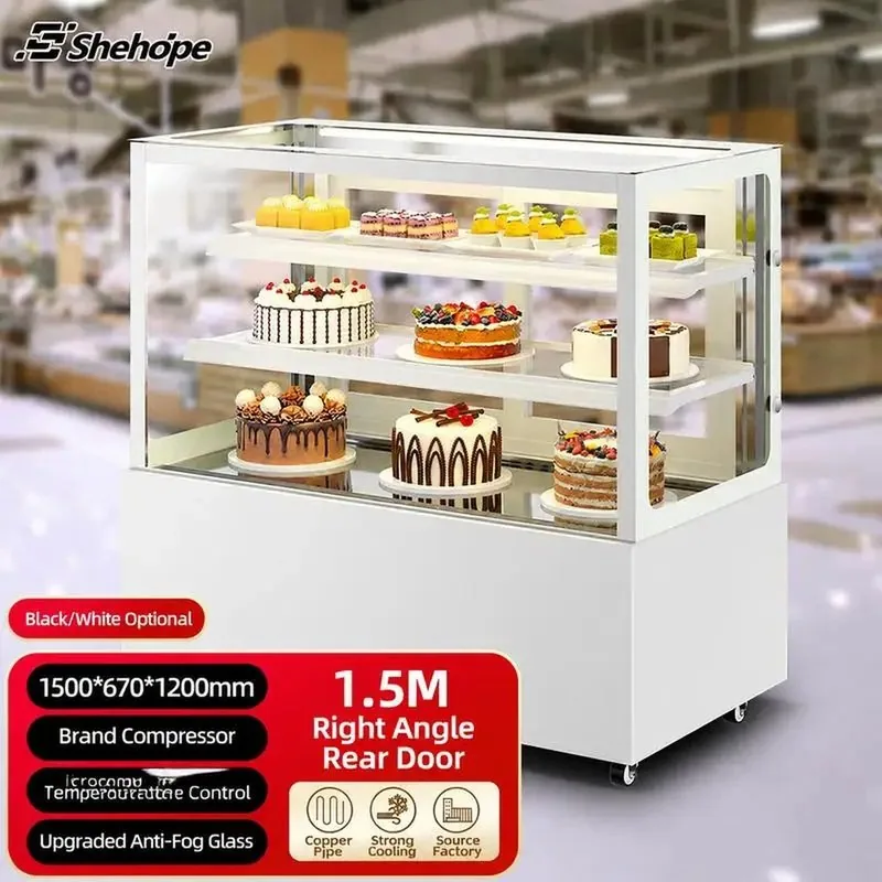 Straight Rear Swing Door Floor Standing Single-Temperature Digital Display…