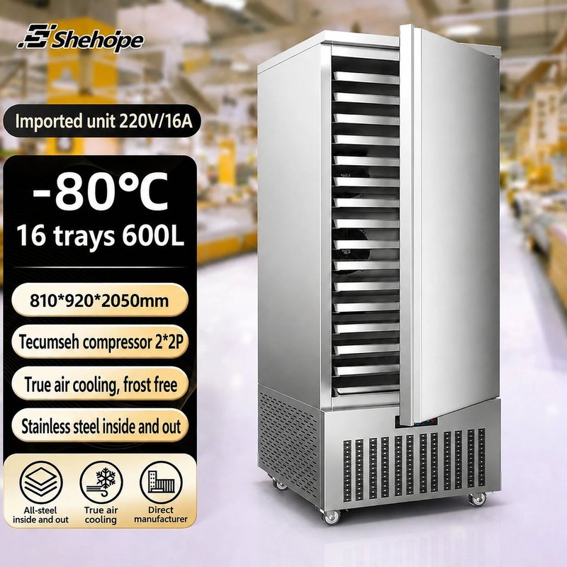 16托盤 -80C 商用步入式單門急速冷凍櫃 不鏽鋼 自動除霜 數位溫控 衛生內襯
