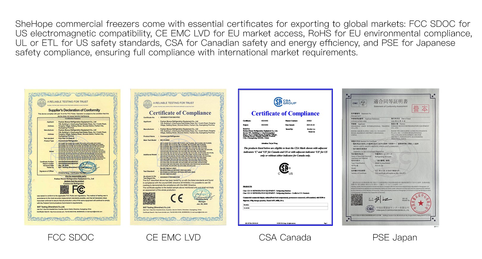 Document de certificat d'exportation